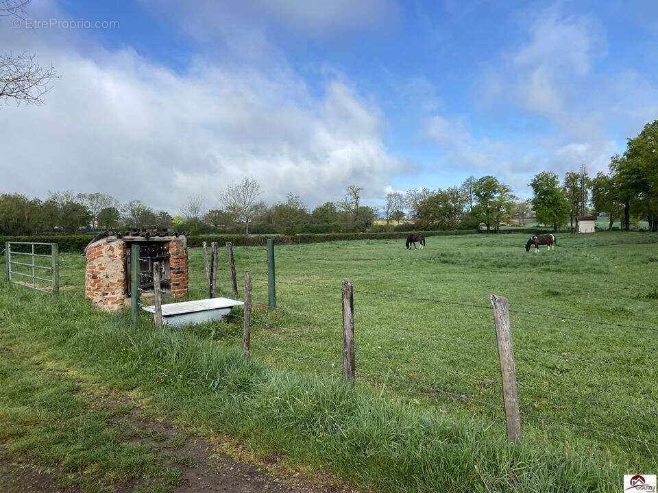 Maison 113 m² à Riorges  - photo 6