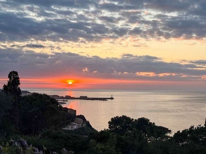Appartement de prestige T4/5 PROPRIANO (Corse du Sud) - photo 13