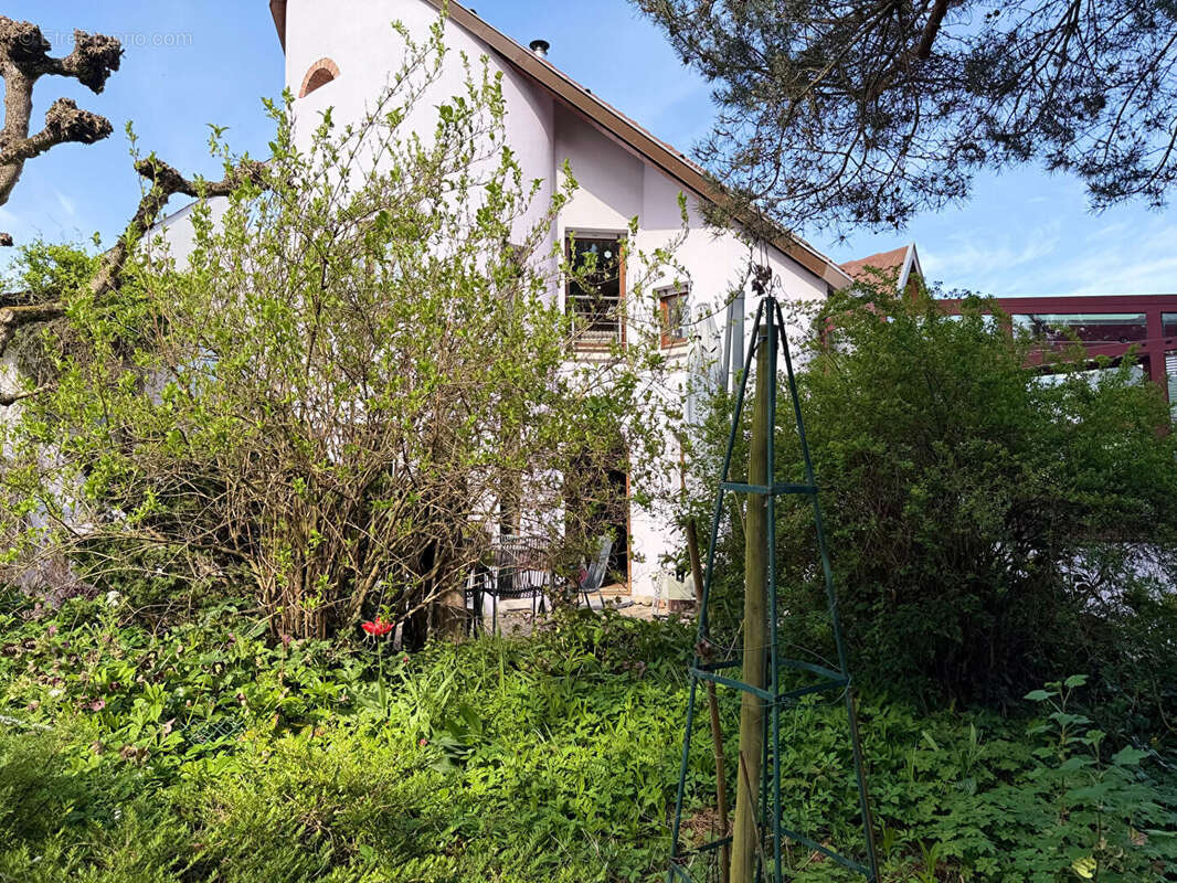 Maison à GRESSWILLER