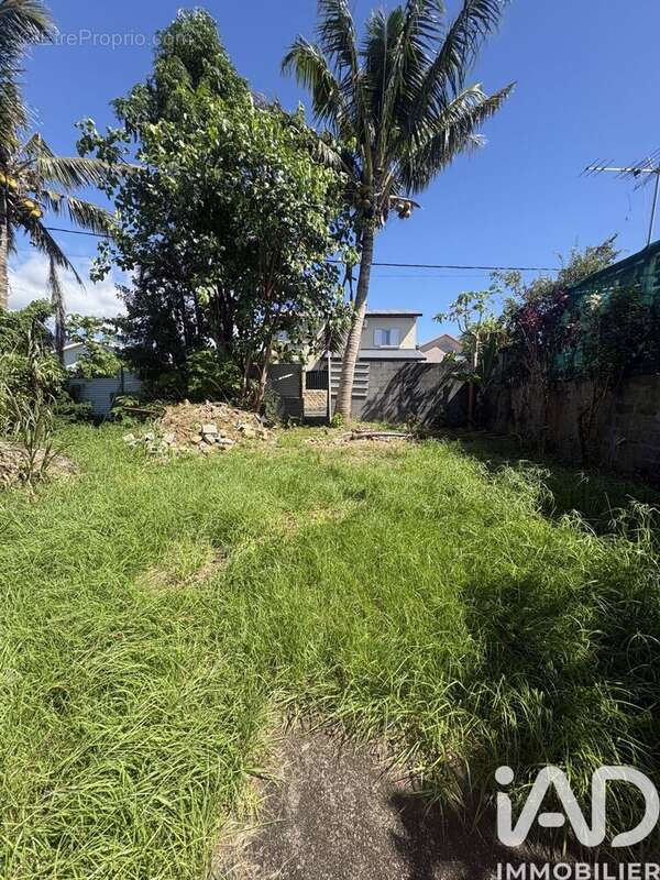 Photo 4 - Terrain à BRAS-PANON