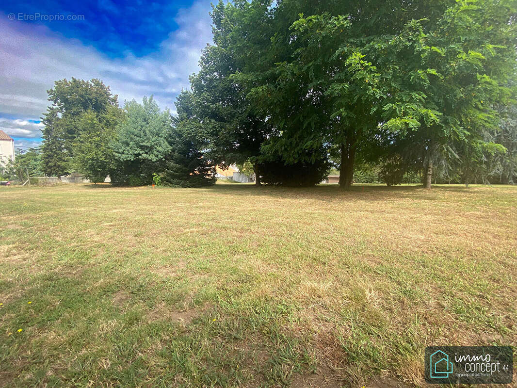 Terrain à LE PELLERIN