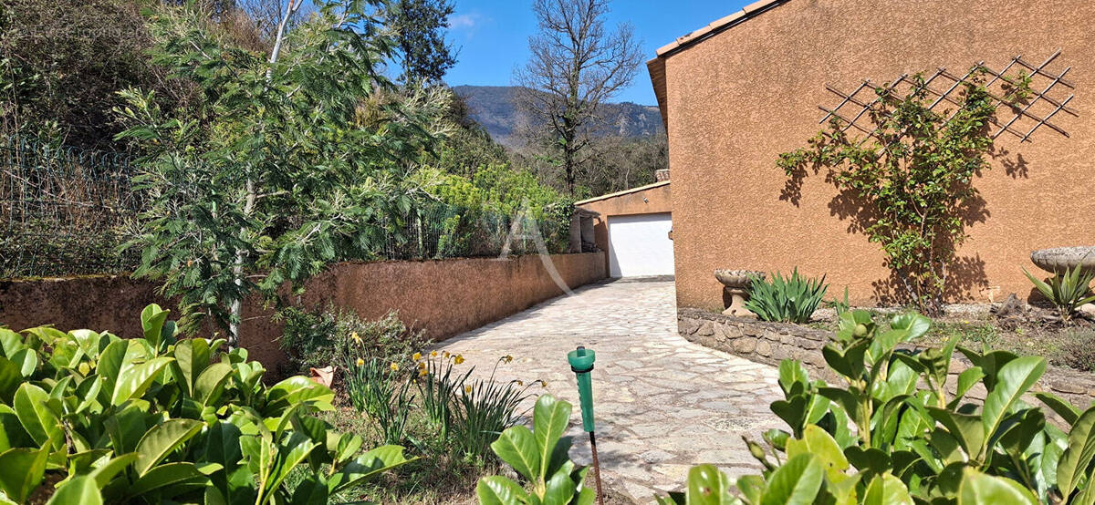 Maison à LE BOUSQUET-D'ORB