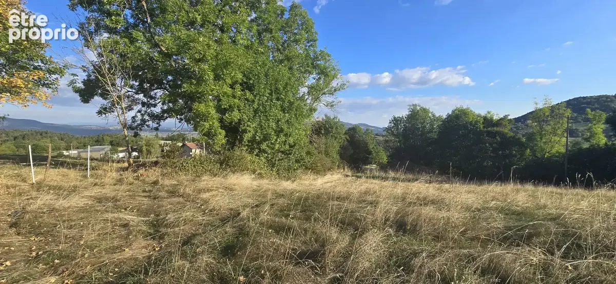 terrain de 9485 m2 avec environ 1800 m2 en zone artisanale - photo 3