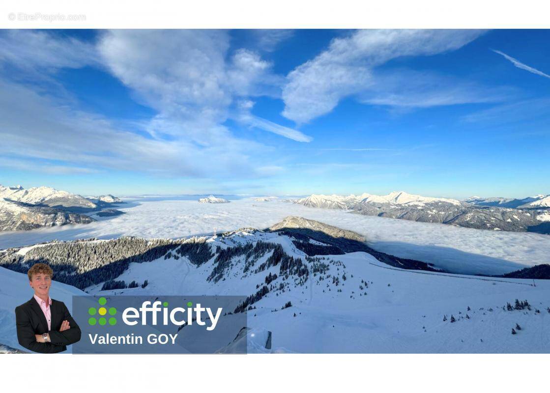 Commerce à ARACHES-LA-FRASSE