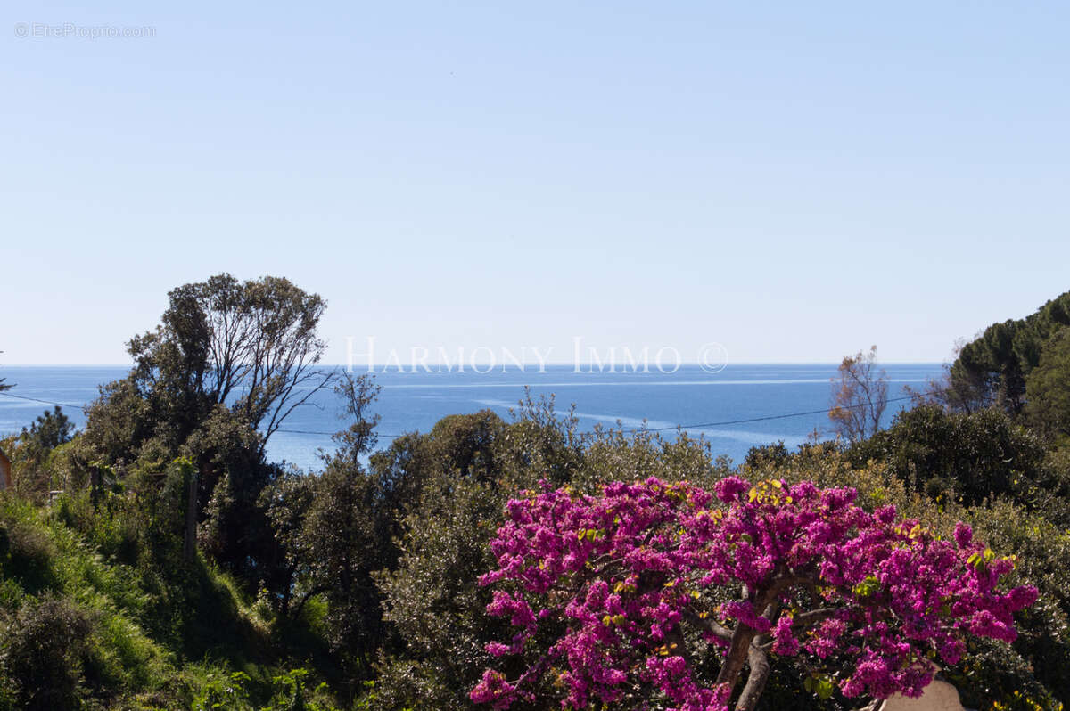 Villa de caractère avec vue mer au calme & terrain plat. - photo 3