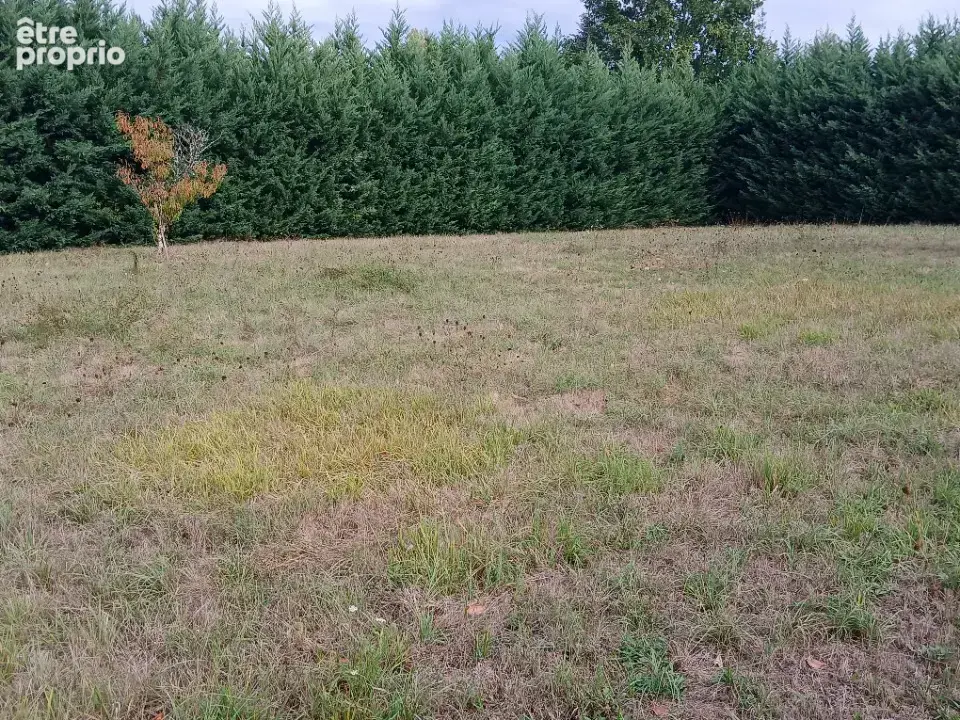 Terrain 2 450 m² à vendre à Lisle (24350) - photo 3