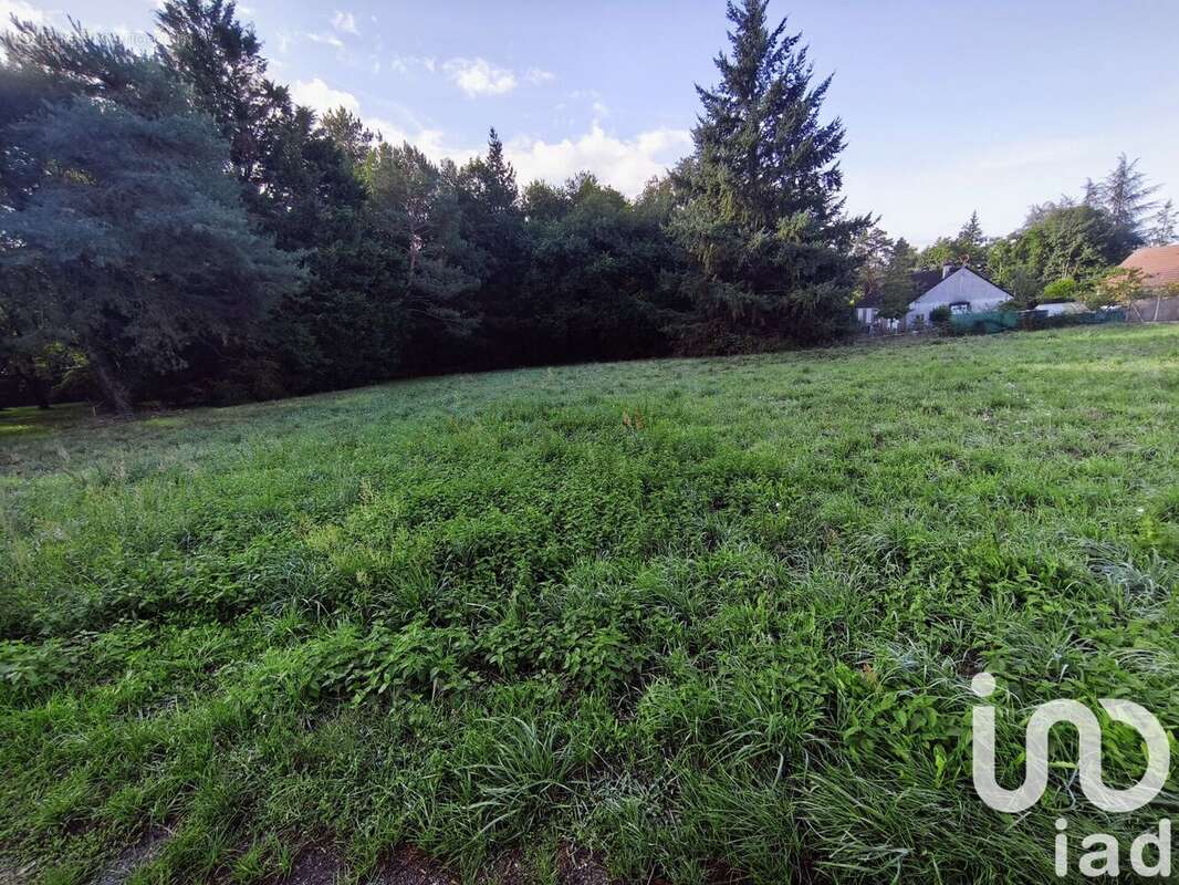 Photo 2 - Terrain à VILLEFRANCHE-SUR-CHER