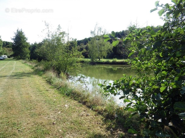 Terrain à VILLEREAU