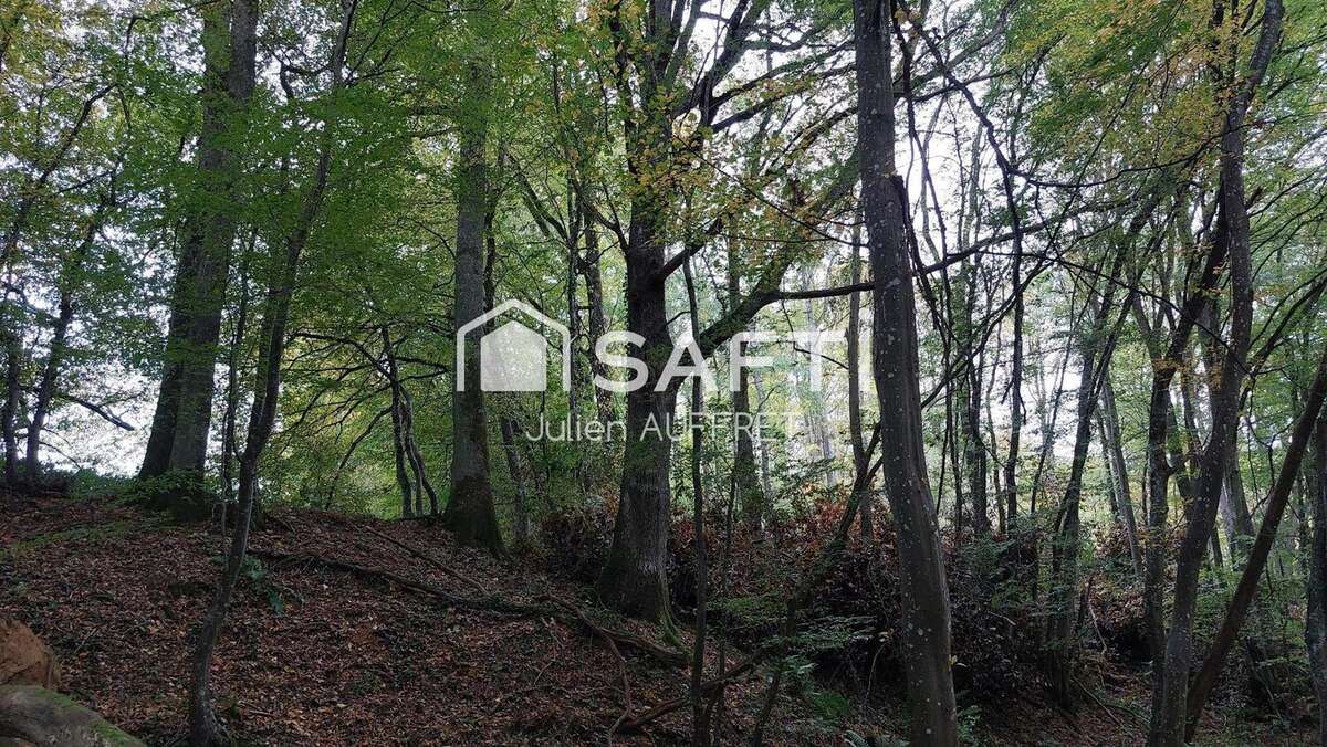 Photo 4 - Terrain à ARQUIAN