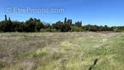 Terrain à CAVAILLON