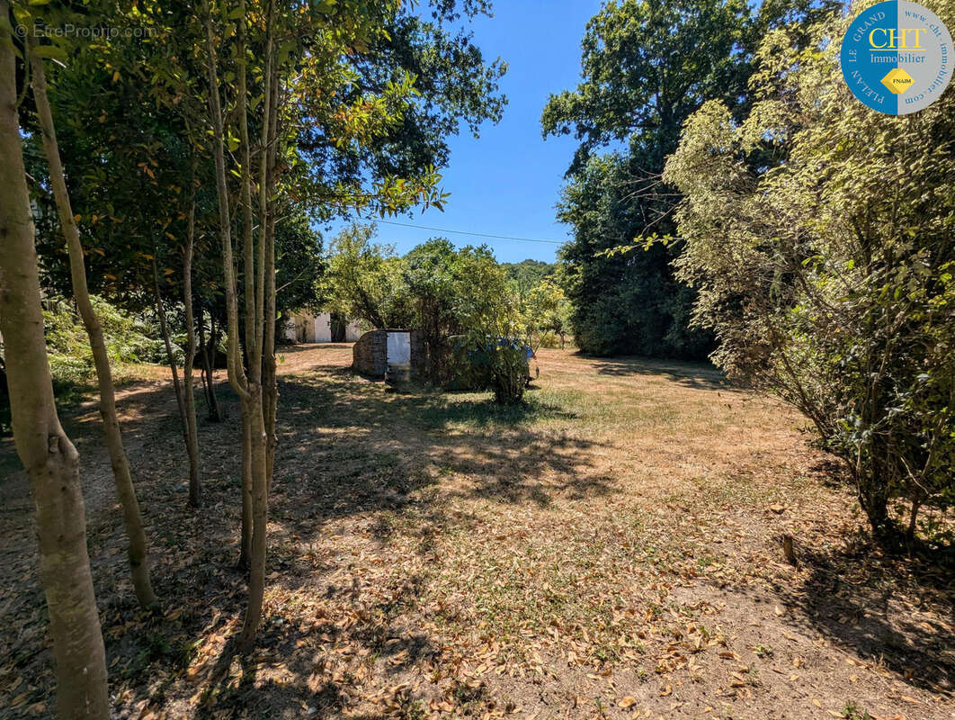 Charme et Authenticité : Longère en pierres sur vaste terrain à Monteneuf (56380) - photo 25