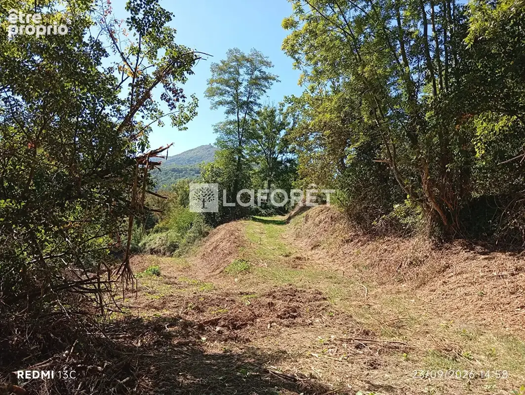 Ancien camping / 2,15 ha - prats de mollo - photo 17