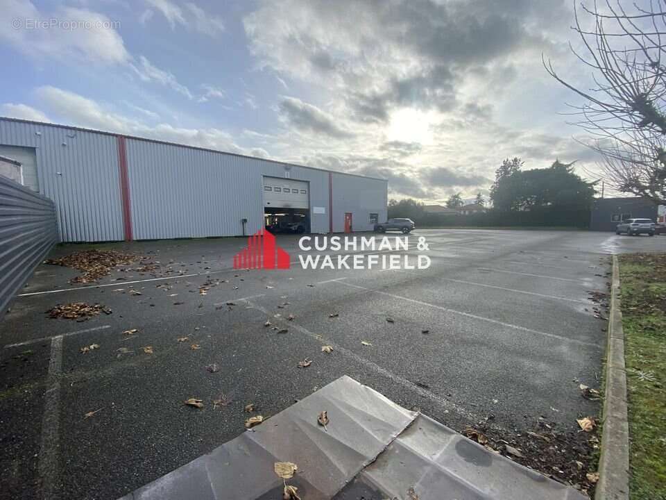 1553 m² à Lespinasse  - photo 2