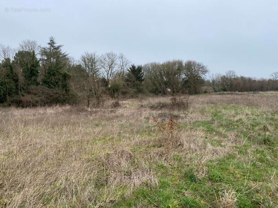 Terrain 404 m² à Pont-L'abbe-D'arnoult  - photo 3