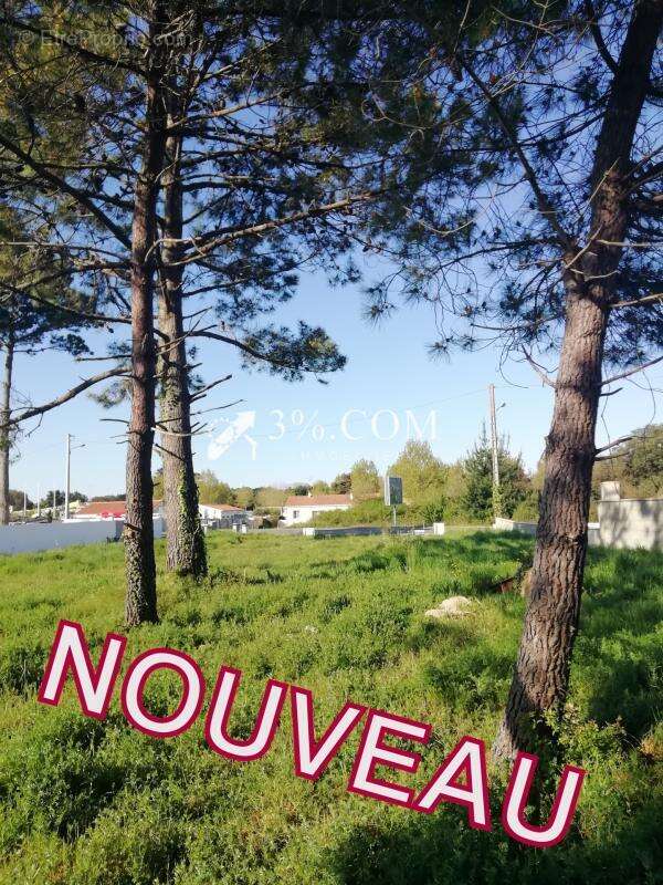 Terrain à OLONNE-SUR-MER