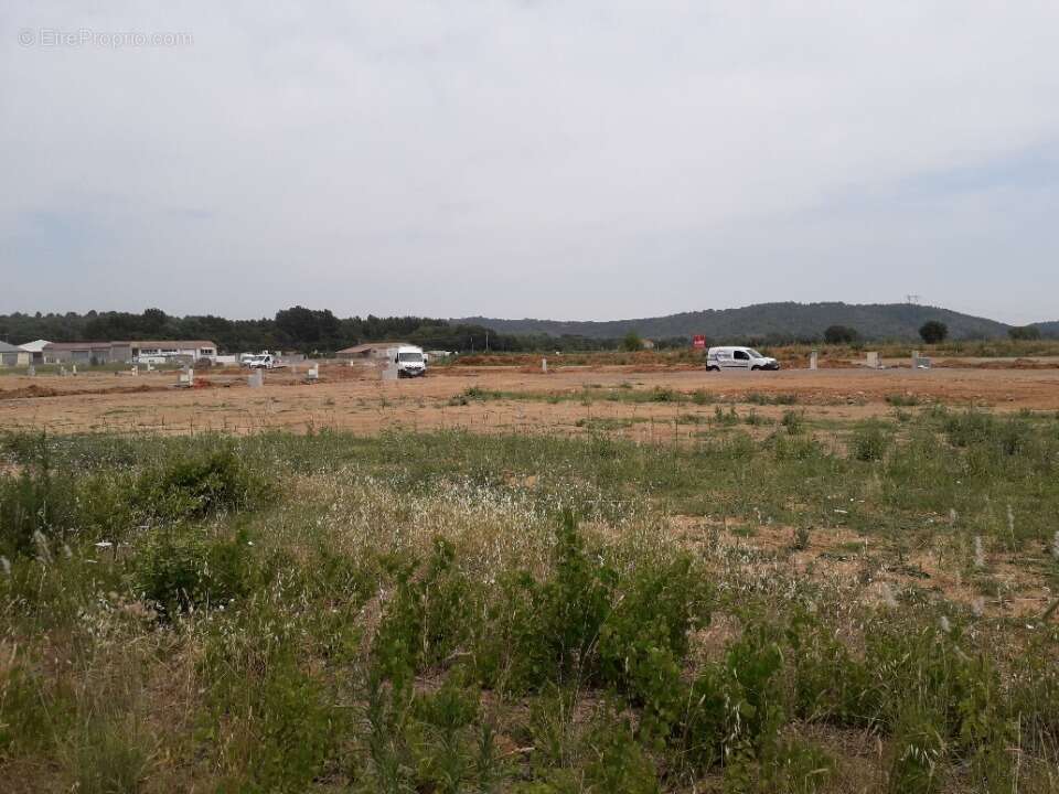 Terrain à CESSENON-SUR-ORB