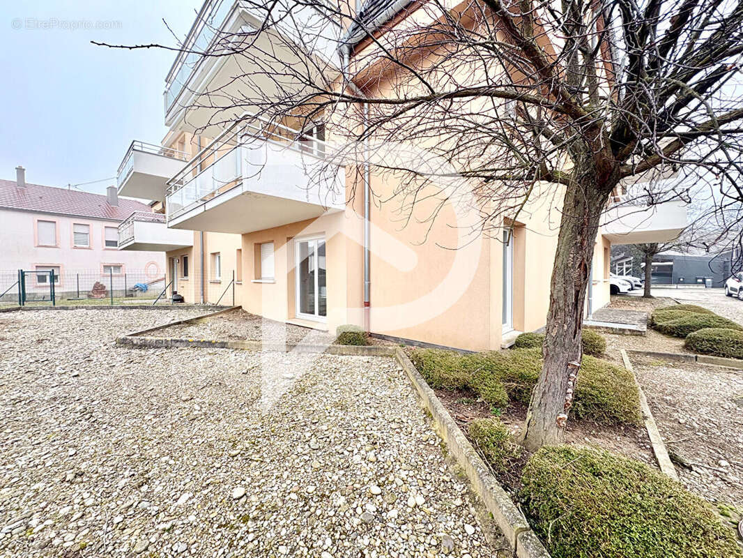 Appartement à ENSISHEIM
