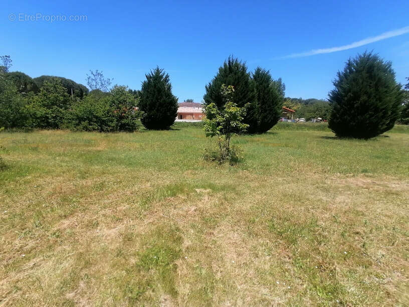 Terrain a batir sur moissac - photo 2