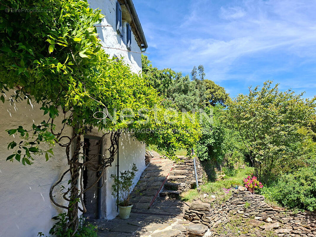 Maison à SAINT-FREZAL-DE-VENTALON
