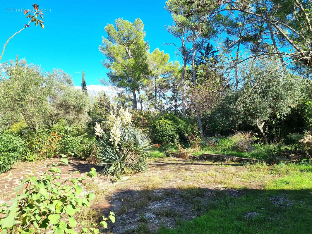 Maison à MONTFERRIER-SUR-LEZ