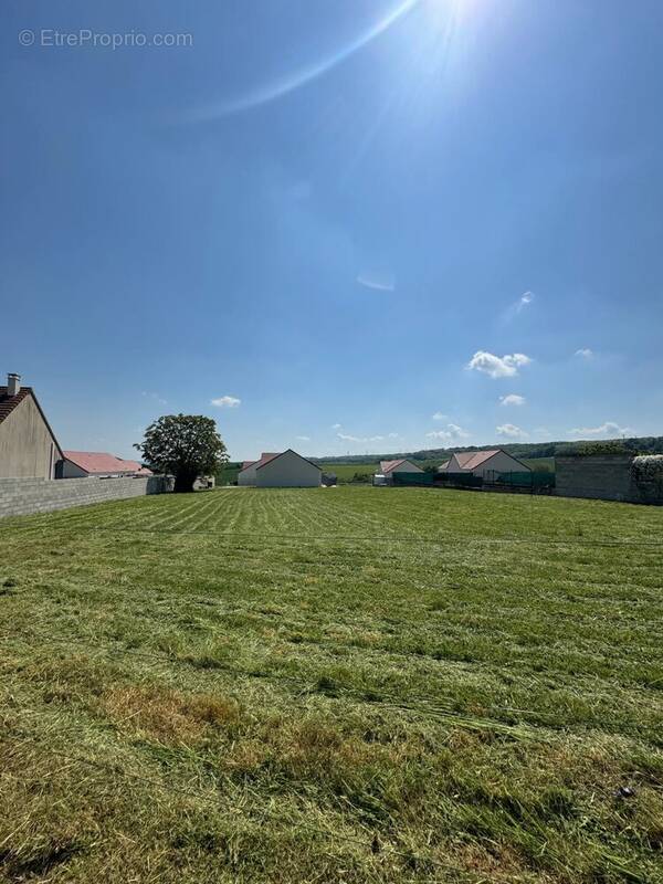 Terrain à CHAMPIGNY