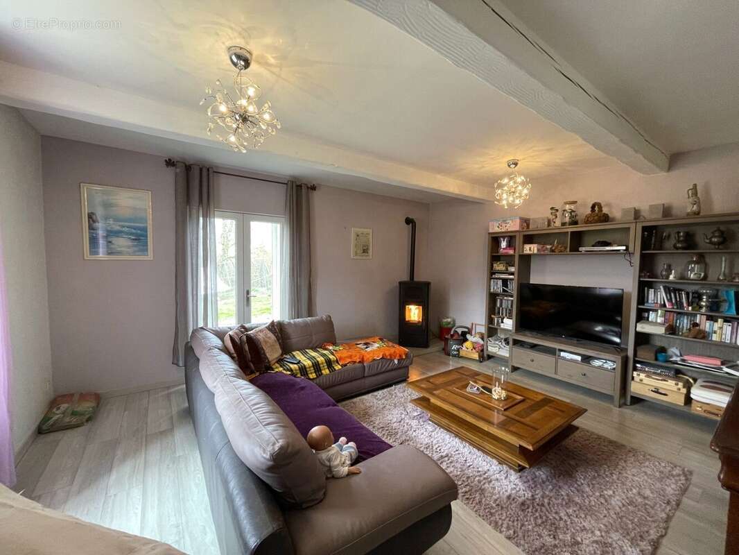 Maison 275 m² à Hauterives  - photo 4