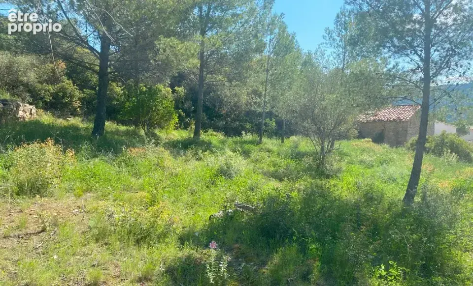 Terrain 1790 m² à Bize-Minervois  - photo 1