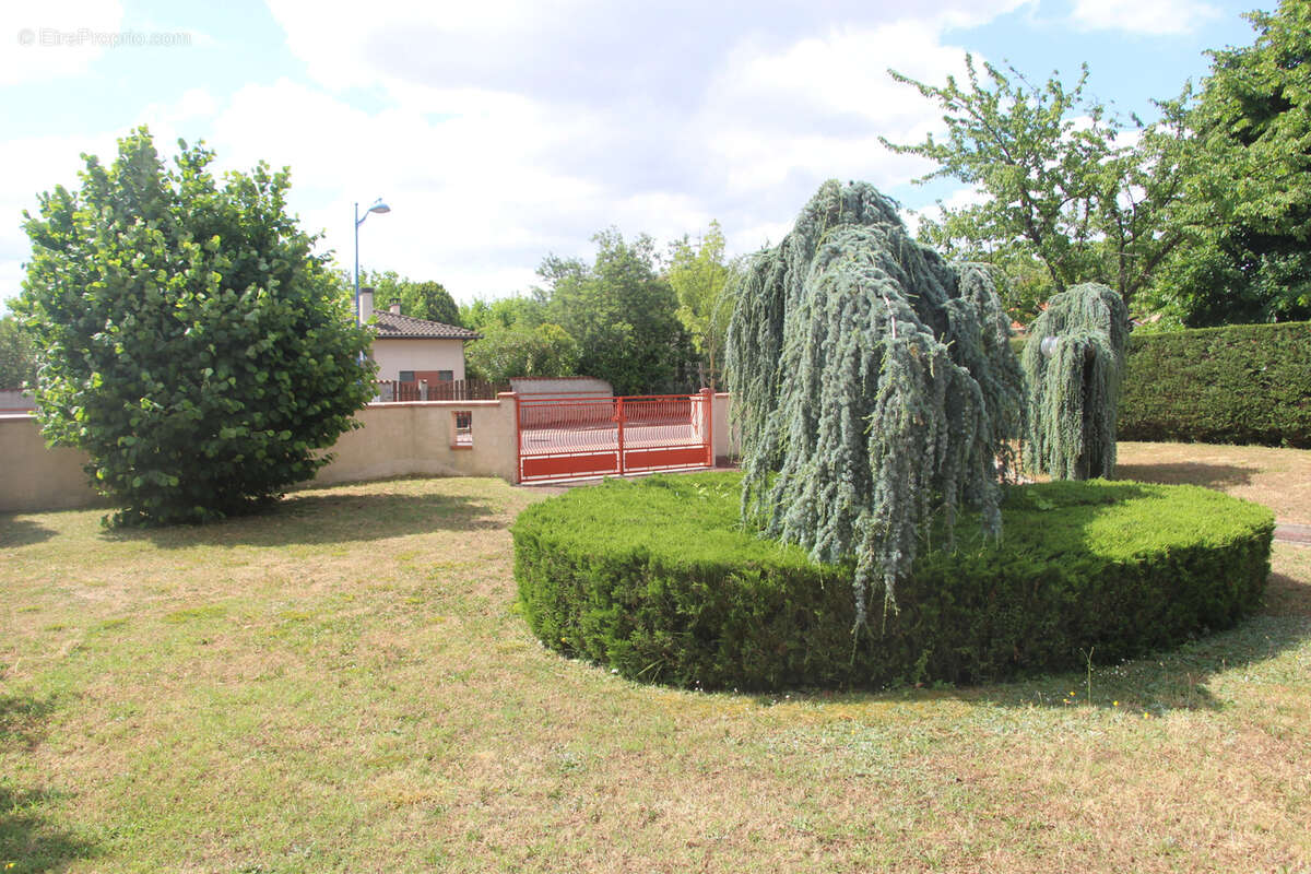 Terrain à AUCAMVILLE