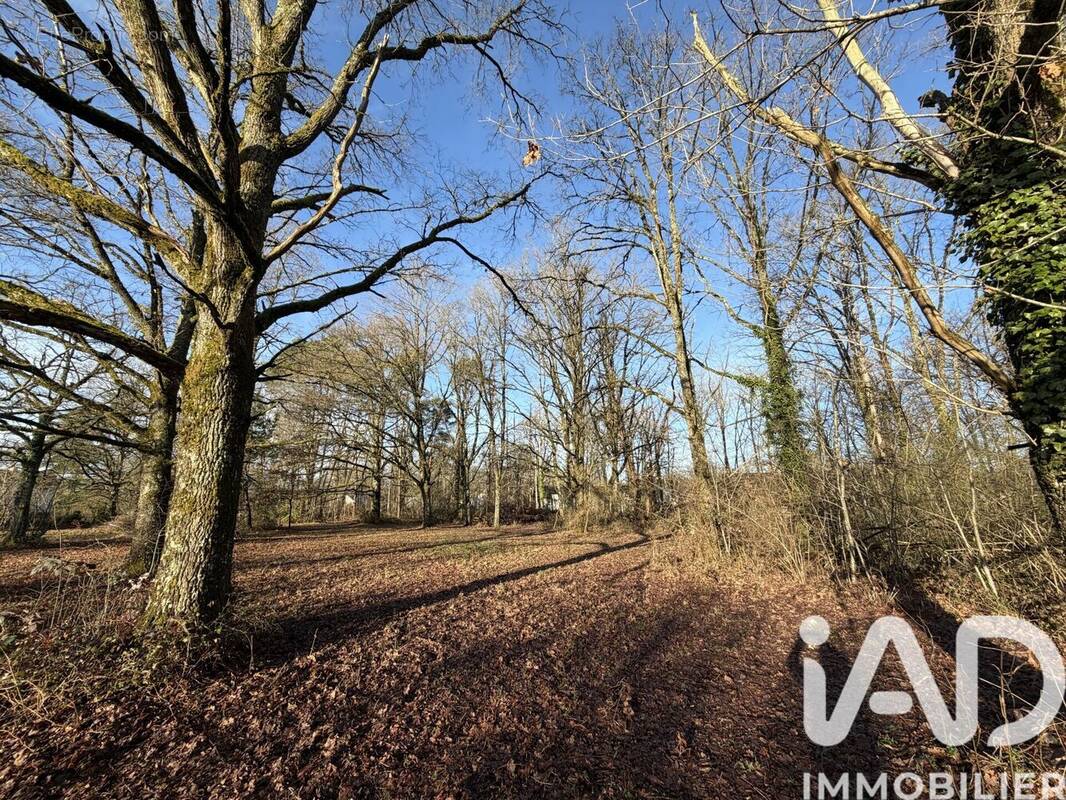 Photo 1 - Terrain à NANCAY