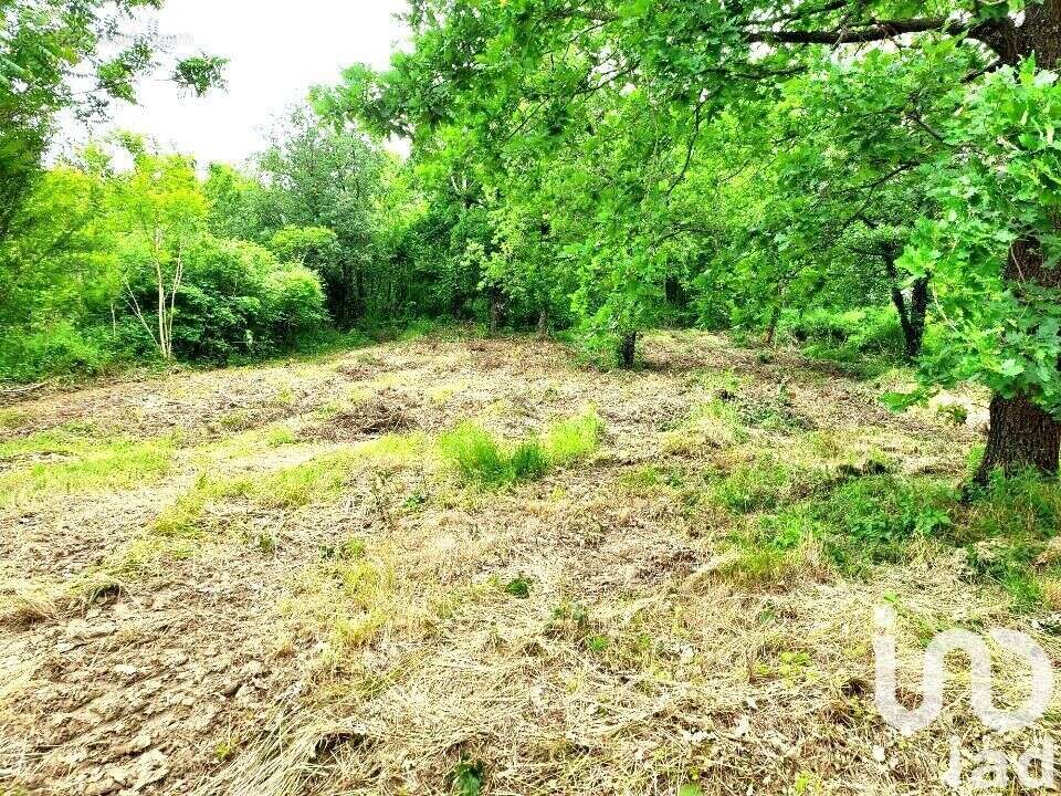 Photo 6 - Terrain à CHATEAUNEUF