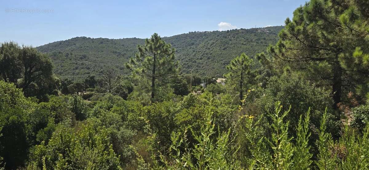 Terrain de 2000 m² avec permis purgé - photo 17