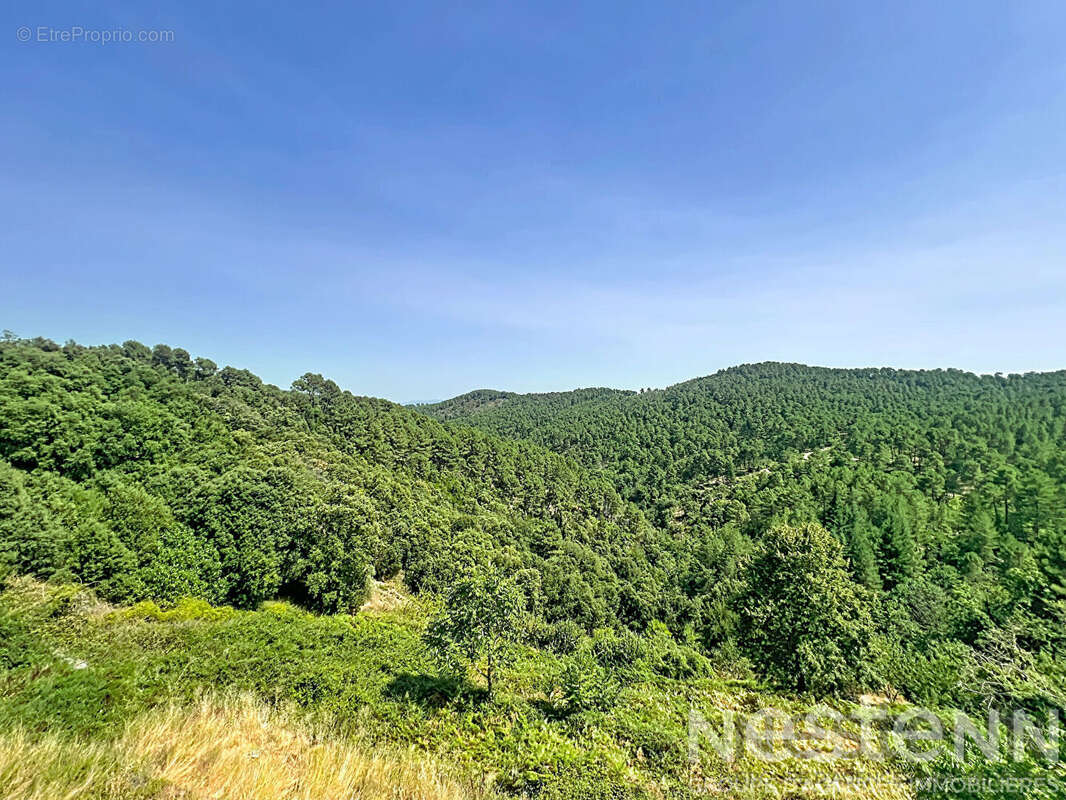 Maison 6 pièces à vendre à Saint Martin de Boubaux - Hameau Calme avec vue magnifique - photo 12