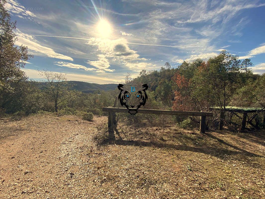 Terrain à MONTAUROUX