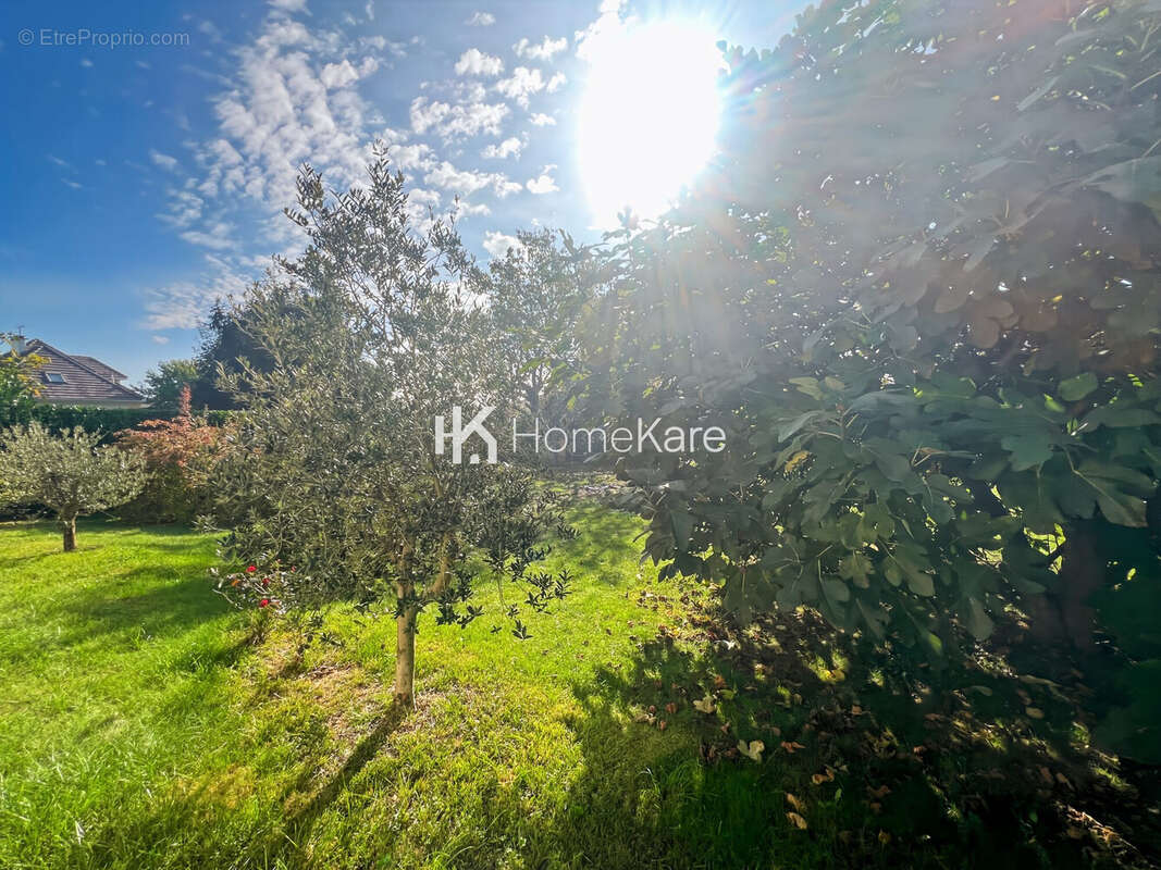 Maison à SAINT-GAUDENS