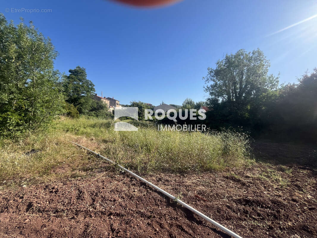 Terrain à LE BOUSQUET-D'ORB
