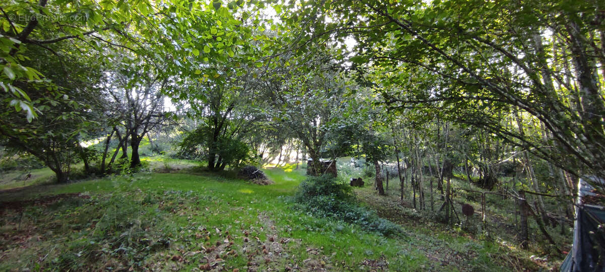 Maison à MONTFORT-EN-CHALOSSE