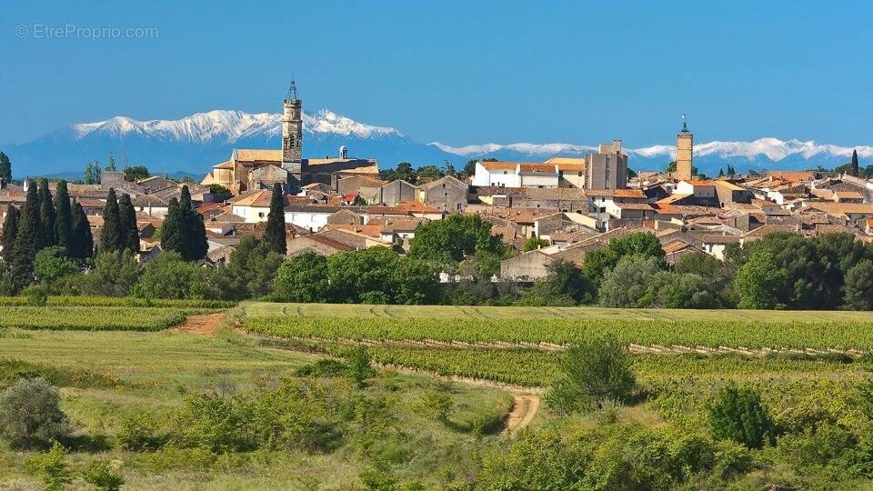 Terrain à CAZOULS-LES-BEZIERS