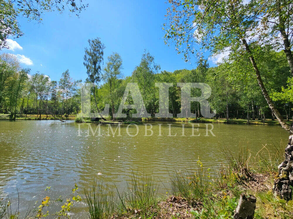 Terrain à SAINT-LEONARD-DES-BOIS