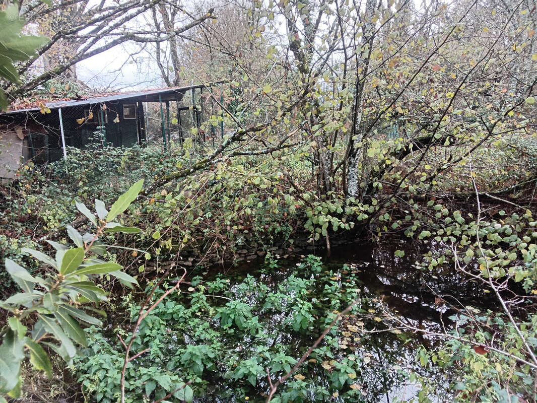 Maison à NERONDES