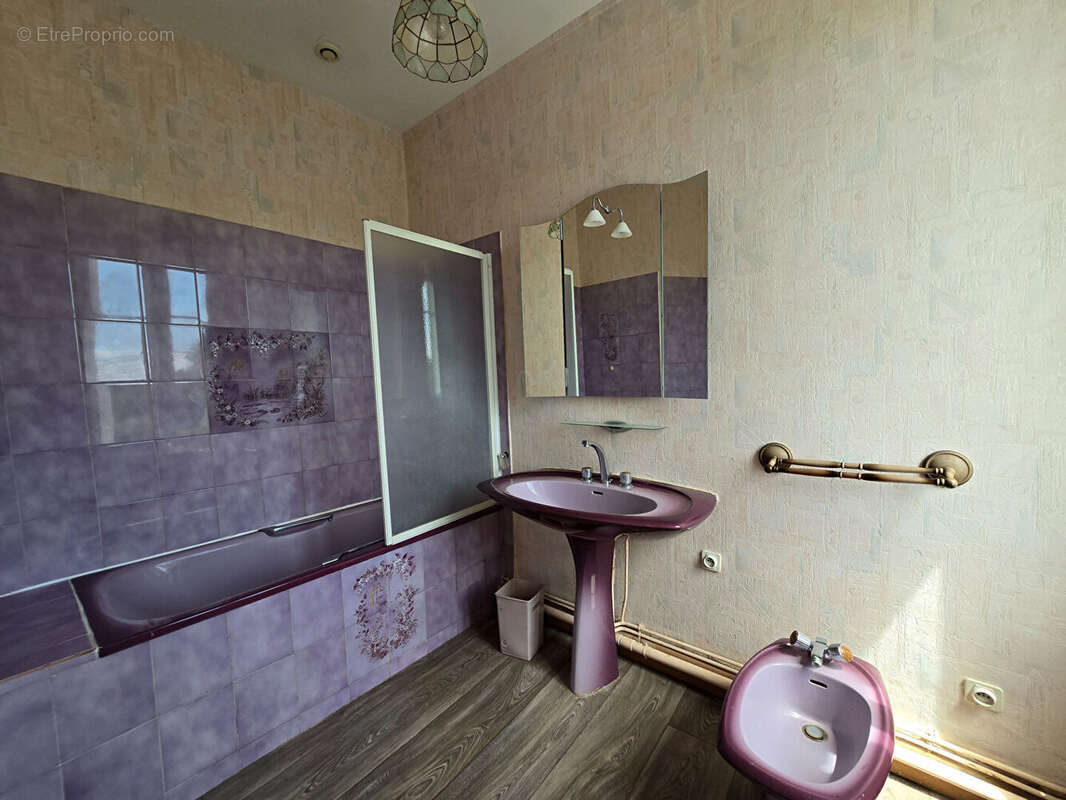 Maison 350m² à saint-aignan-grandlieu - photo 17