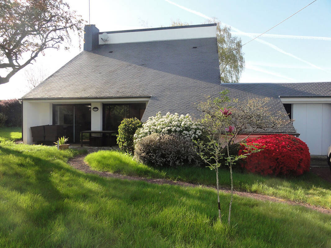 Maison à SAINT-THURIAU