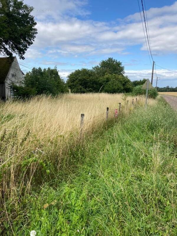 Terrain à VALLERY