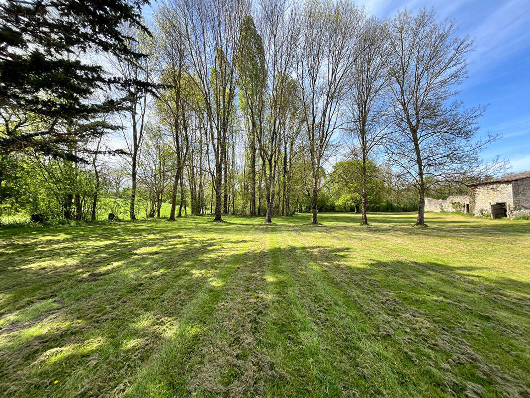 Maison à MONFLANQUIN