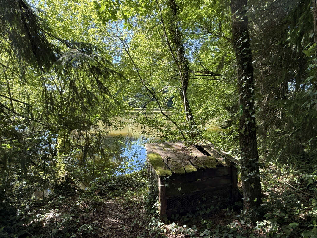 Terrain à LUBERSAC