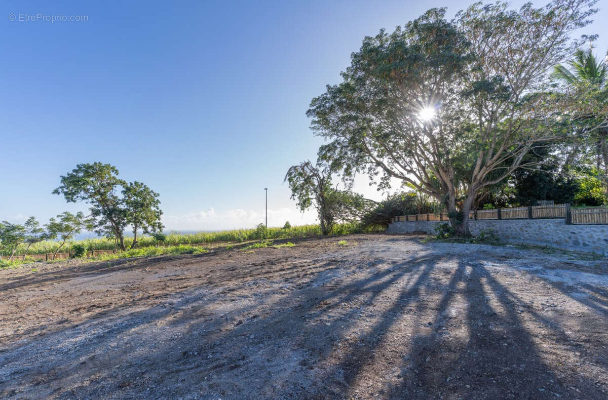 Terrain à SAINTE-MARIE