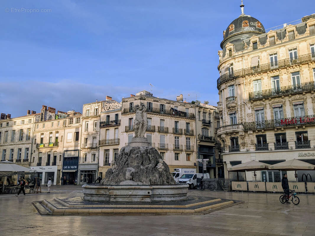 Commerce à MONTPELLIER