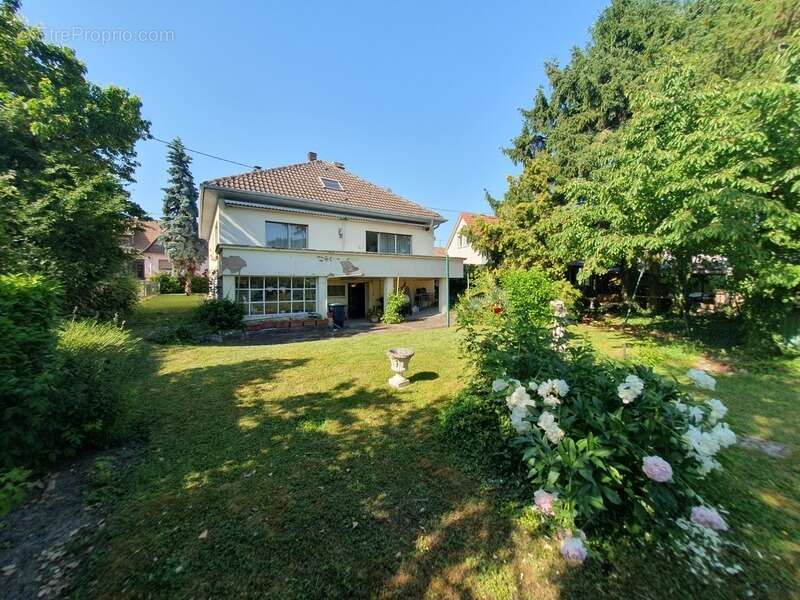 Maison à MARLENHEIM