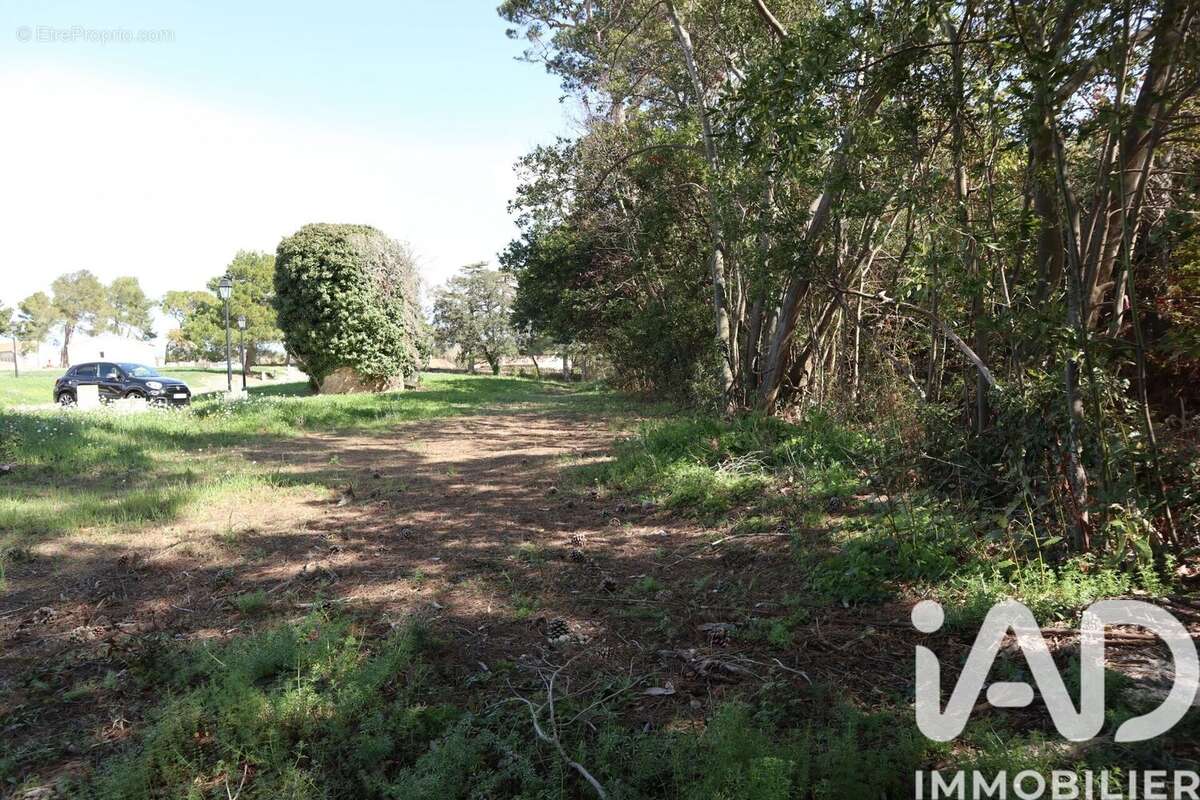 Photo 4 - Terrain à ESCALES