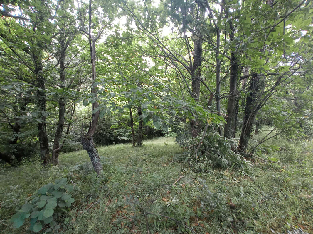 Terrain à SAINT-HIPPOLYTE-DU-FORT