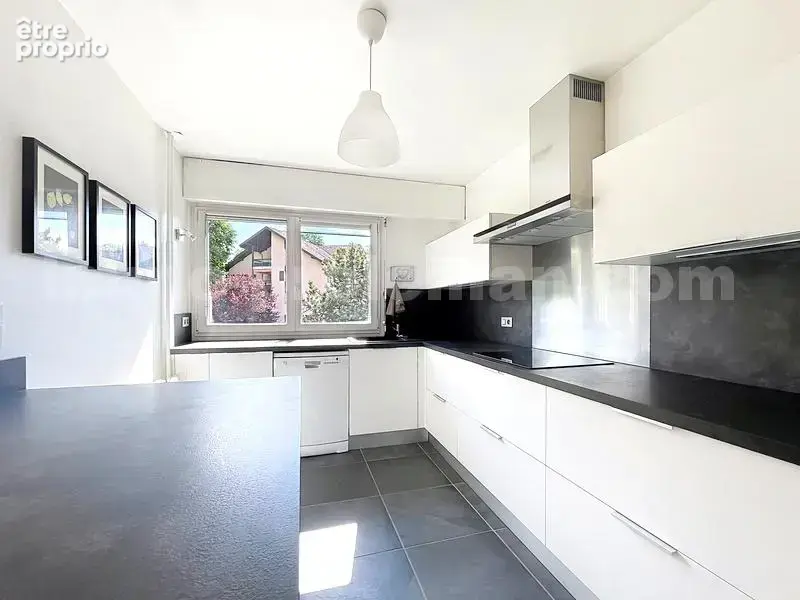 APPARTEMENT_T4_TRANSFORMEE_EN_T3_IMMO_PROLEMAN_COLLONGES_SOUS_SALEVE_BELLES_PRESTATIONS_RENOVEE_BEAUX_VOLUMES_PIED_DE_LA_DOUANE_Veyrier_geneve_TRAM_CEVA_frontiere_Suisse_rangement_pièce_de_vie_séjour_cuisine
